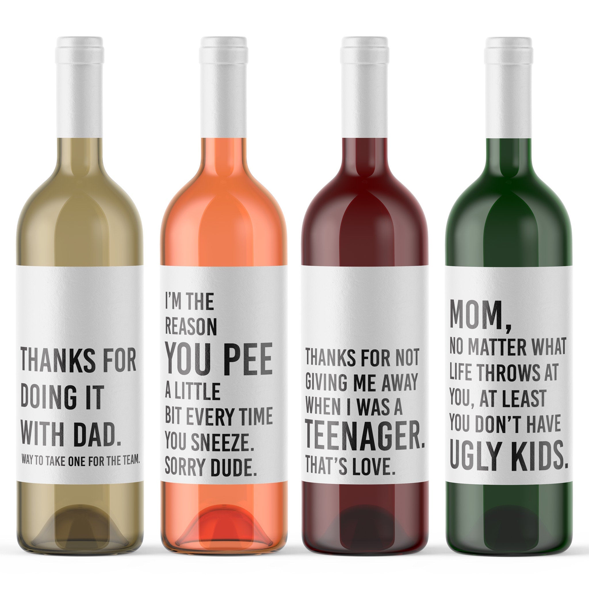 BigMouth Inc. Original Wine Bottle Glass – Holds an entire 750mL Bottle of  Wine, Reads 