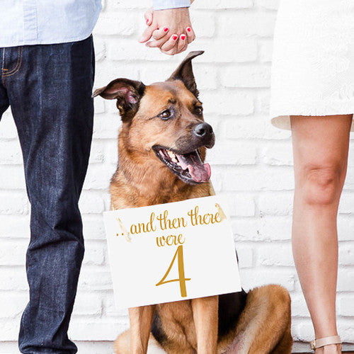 And then there were four baby announcement burlap print - dog mom
